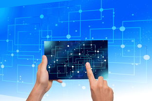 kaiyun官方入口登录-中国篮球教练员战术执行力提升路径及方法研究，如何提高篮球教练员水平