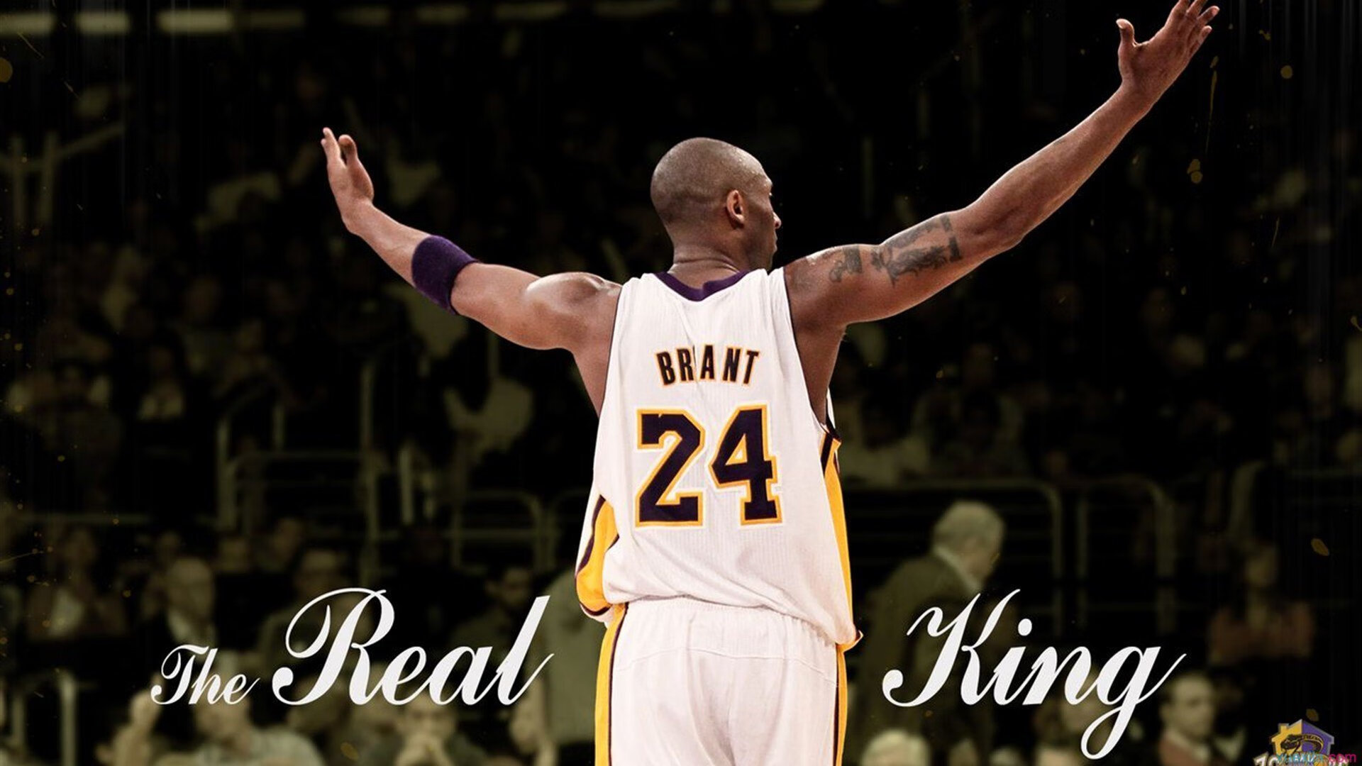 《《使命召唤》系列新作“暗影突击”火爆上线》,使命召唤暗影部队